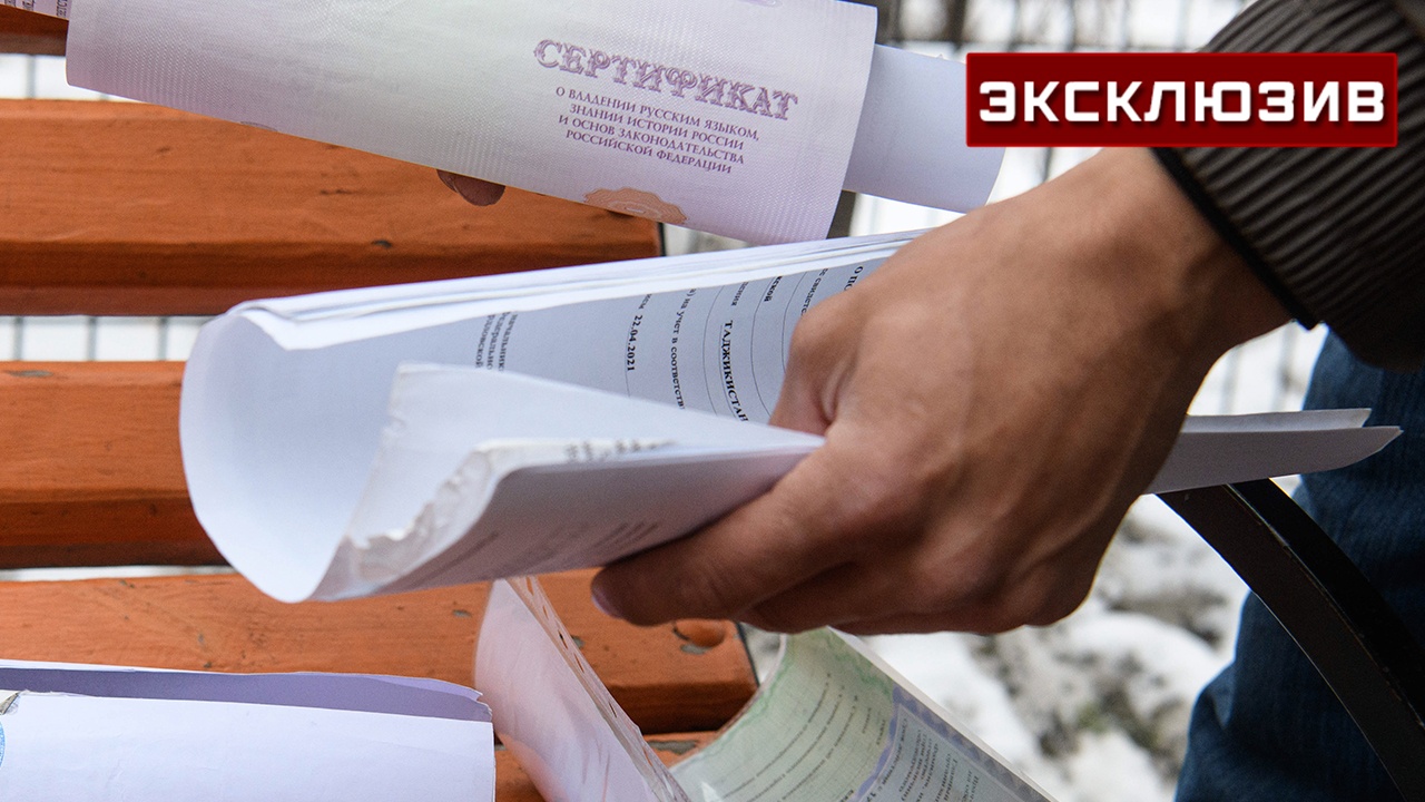 В ГД предложили новые методы борьбы с липовыми экзаменами мигрантов В ГД предложили новые методы борьбы с липовыми экзаменами мигрантов