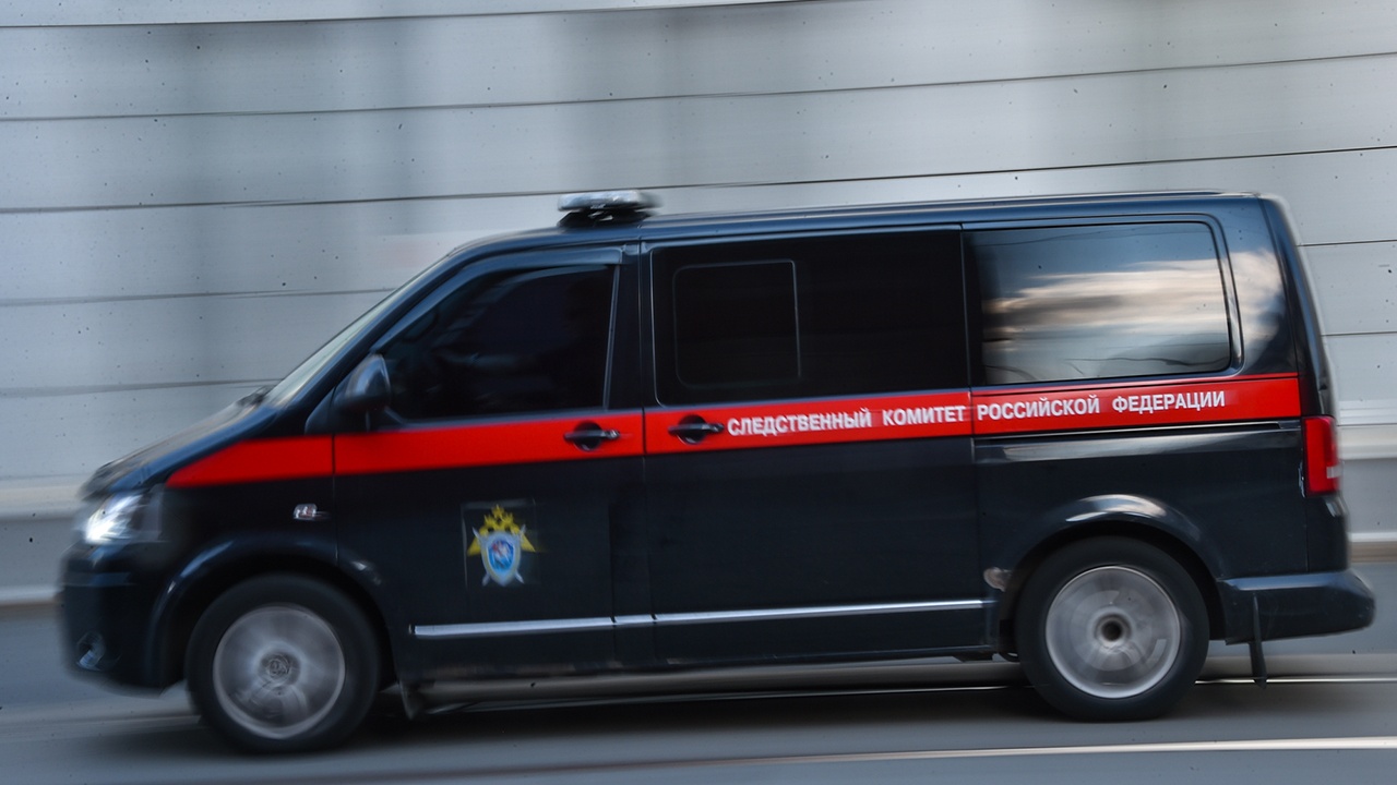 СК возбудил дело после инцидента с блогером на Ярославском вокзале СК возбудил дело после инцидента с блогером на Ярославском вокзале