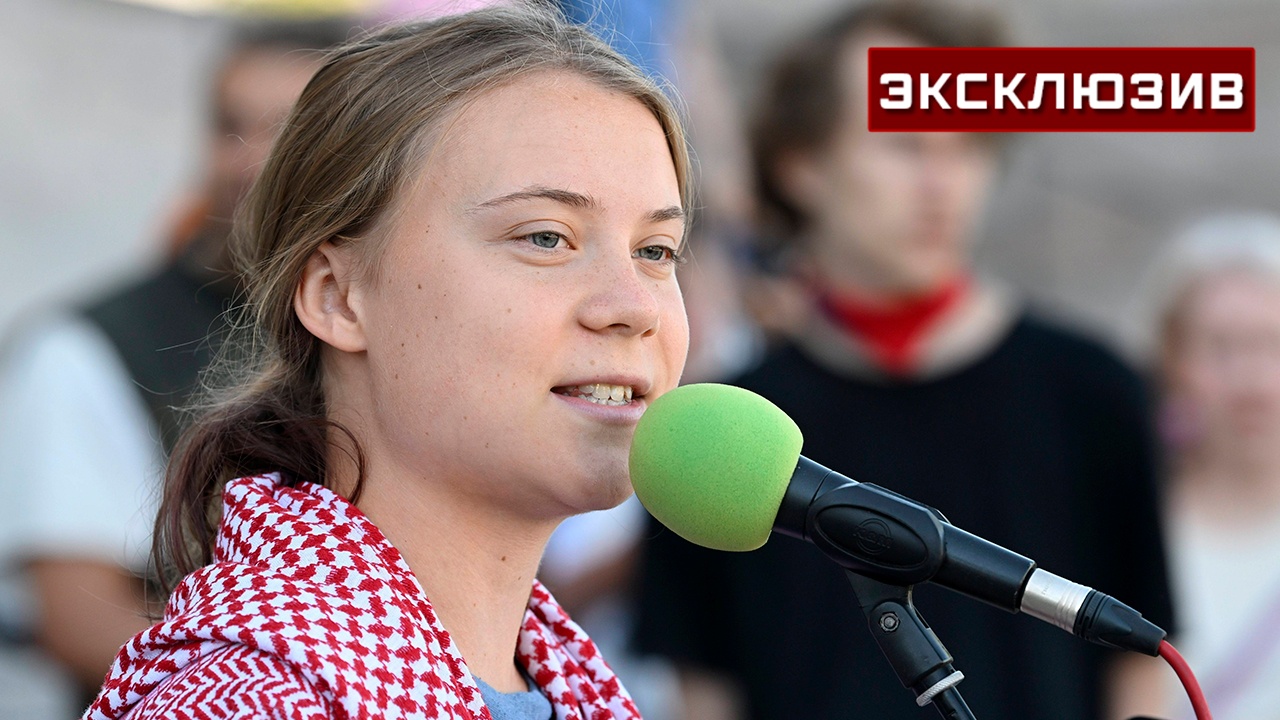 РАН: акция Тунберг по поездке в Газу не несет гуманитарной ценности