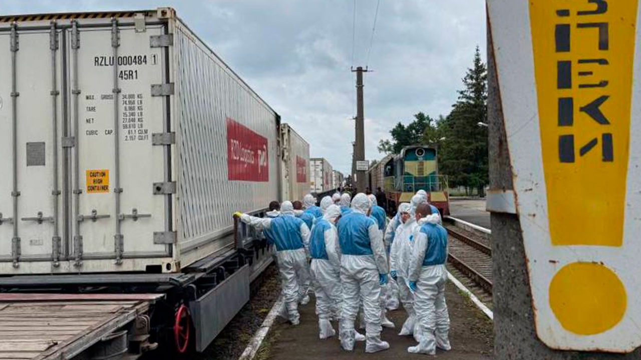 Источник: Россия передала Украине 1 200 тел бойцов ВСУ Источник: Россия передала Украине 1 200 тел бойцов ВСУ