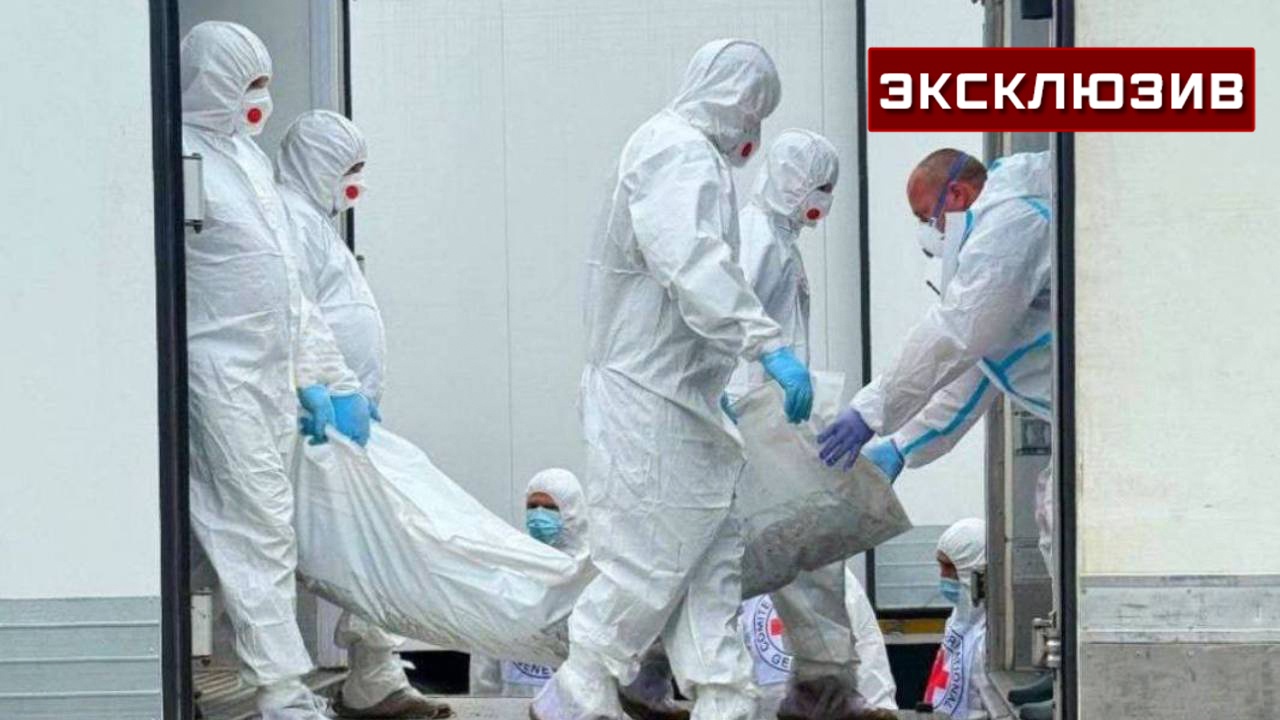 Захарова: нежелание Киева забирать тела своих военных шокировало всех Захарова: нежелание Киева забирать тела своих военных шокировало всех
