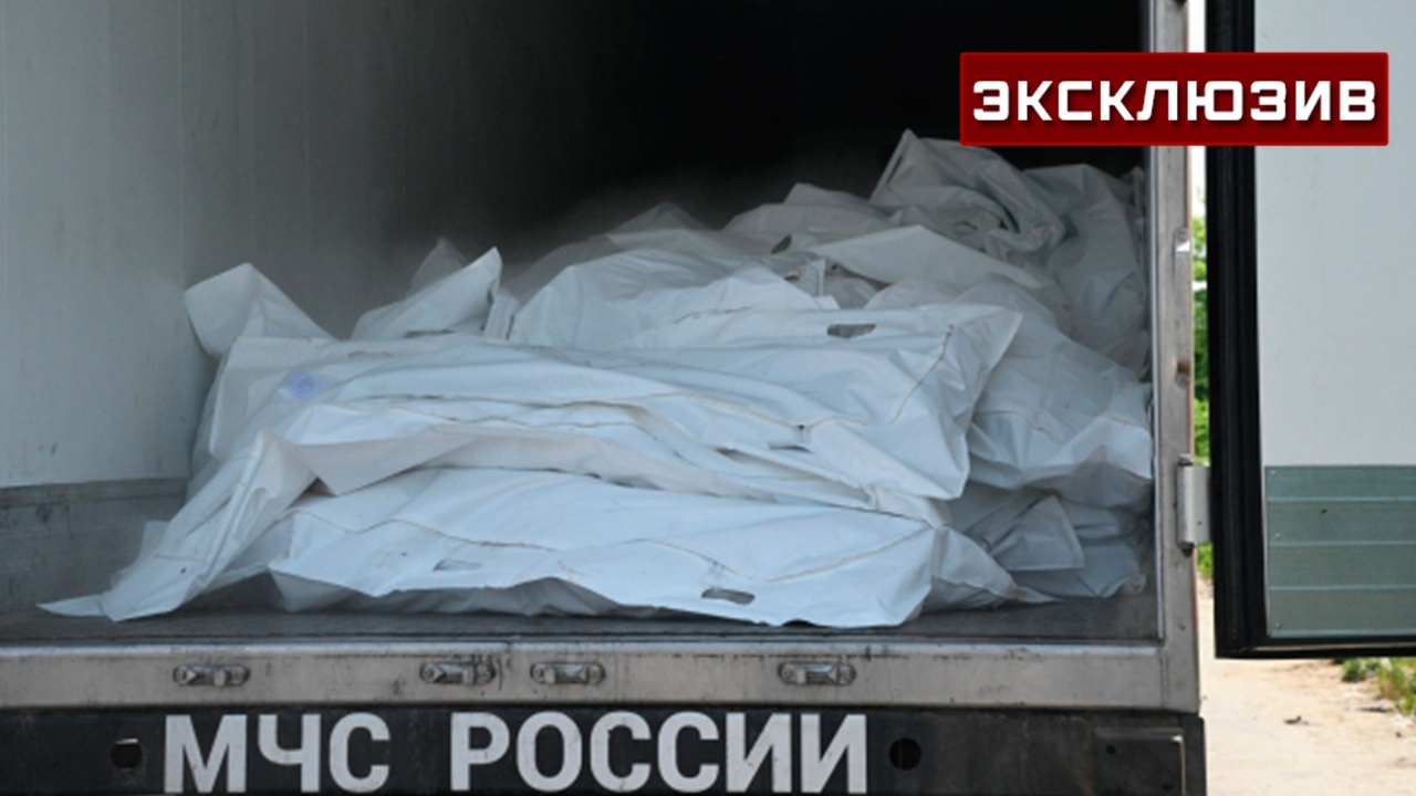 Балицкий: передача тел боевиков показывает реальный масштаб потерь ВСУ Балицкий: передача тел боевиков показывает реальный масштаб потерь ВСУ