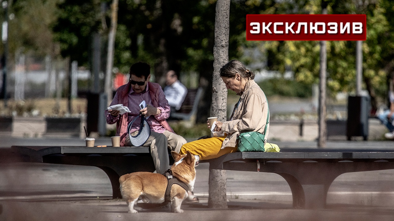 Названы категории граждан, которым повысят пенсию с 1 августа