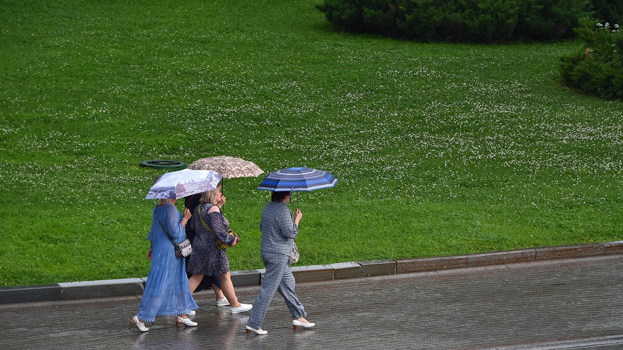 В Москве выпала почти четверть месячной нормы осадков В Москве выпала почти четверть месячной нормы осадков