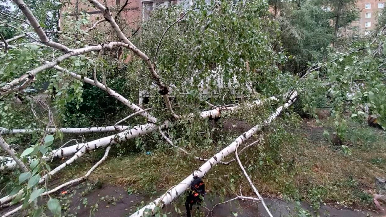 В Донецке во время урагана погиб ребенок В Донецке во время урагана погиб ребенок