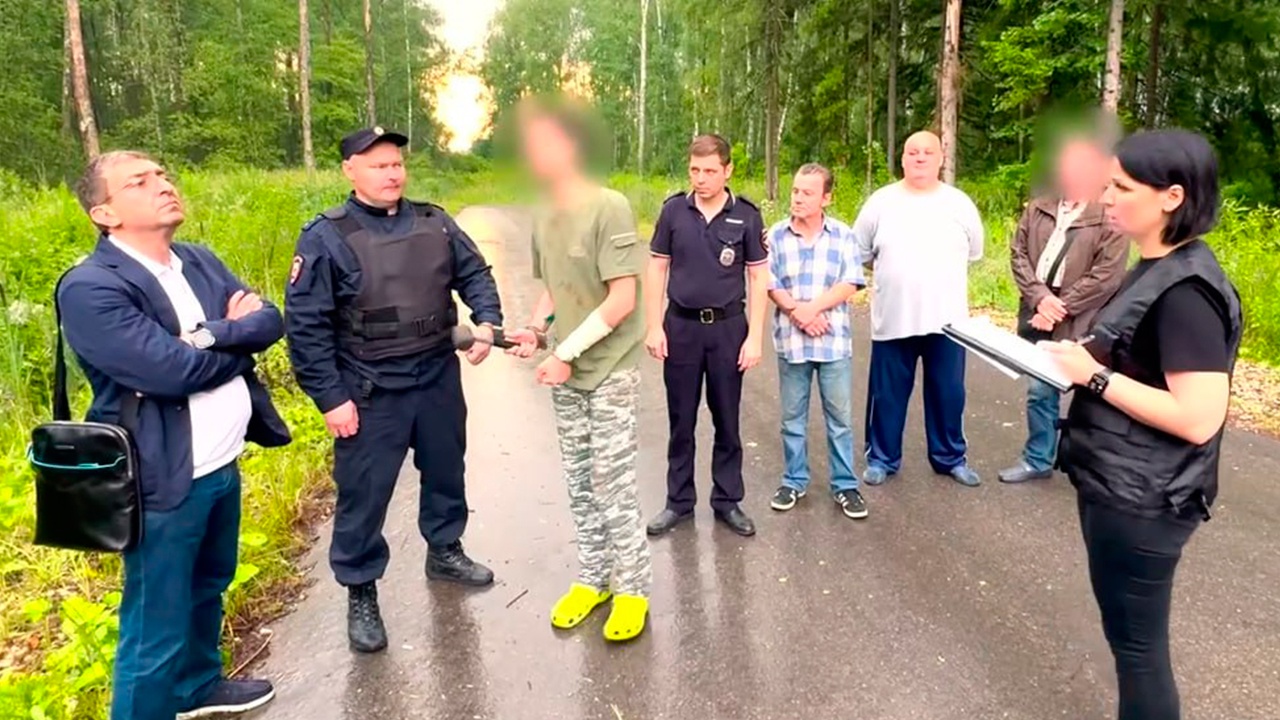 Подозреваемого в нападении на двух девочек в Домодедово поместили в СИЗО Подозреваемого в нападении на двух девочек в Домодедово поместили в СИЗО