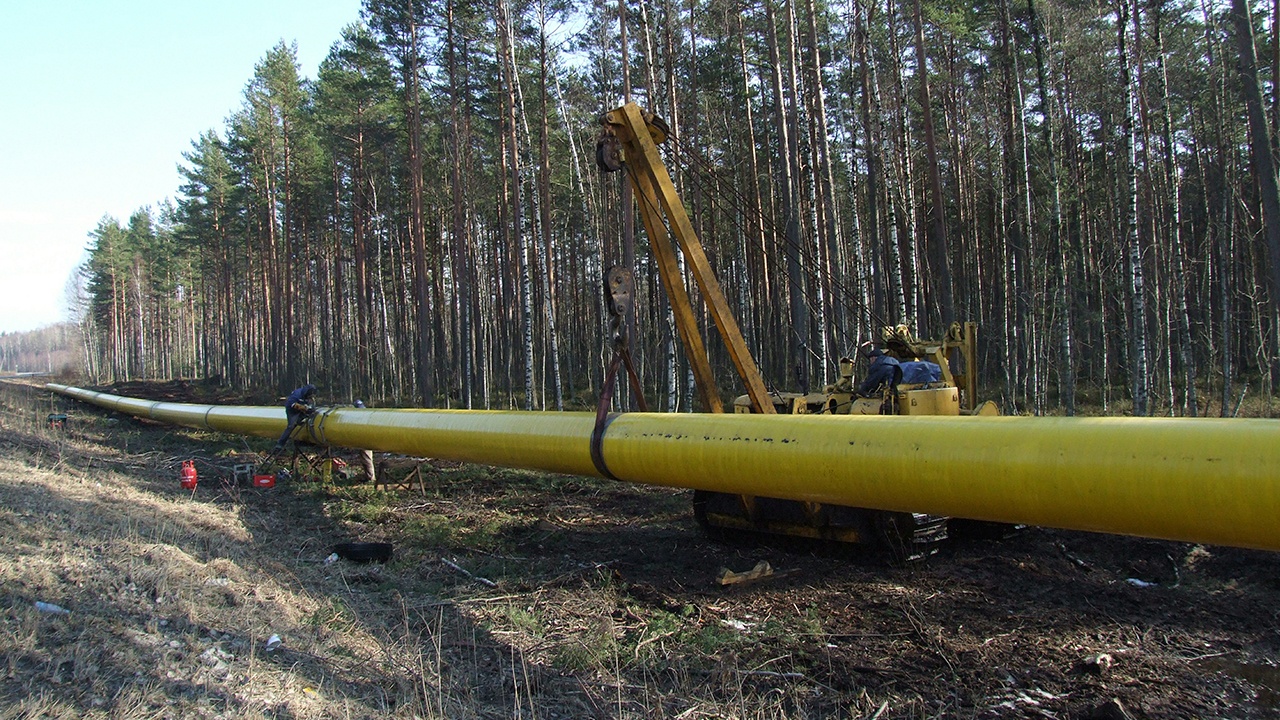 Политолог объяснил, как РФ может поставлять газ в Европу без Украины Политолог объяснил, как РФ может поставлять газ в Европу без Украины