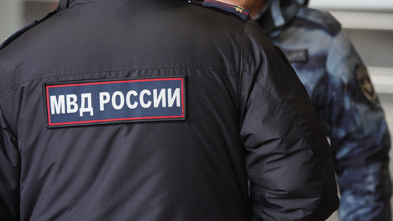 Мигранты устроили массовую драку у школы в Москве