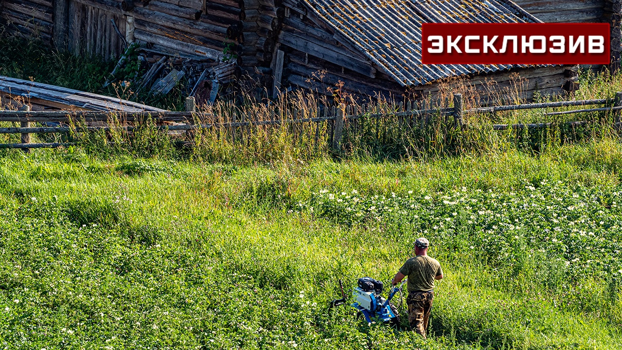 Юрист пояснил, что за бесхозный участок грозит только штраф Юрист пояснил, что за бесхозный участок грозит только штраф