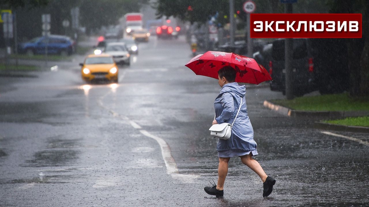Водителей в Москве предупредили об опасностях на дорогах из-за дождя и ветра