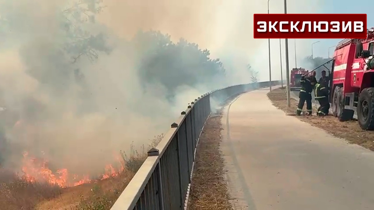 Пожар на шоссе в Севастополе помогают тушить полиция и очевидцы Пожар на шоссе в Севастополе помогают тушить полиция и очевидцы