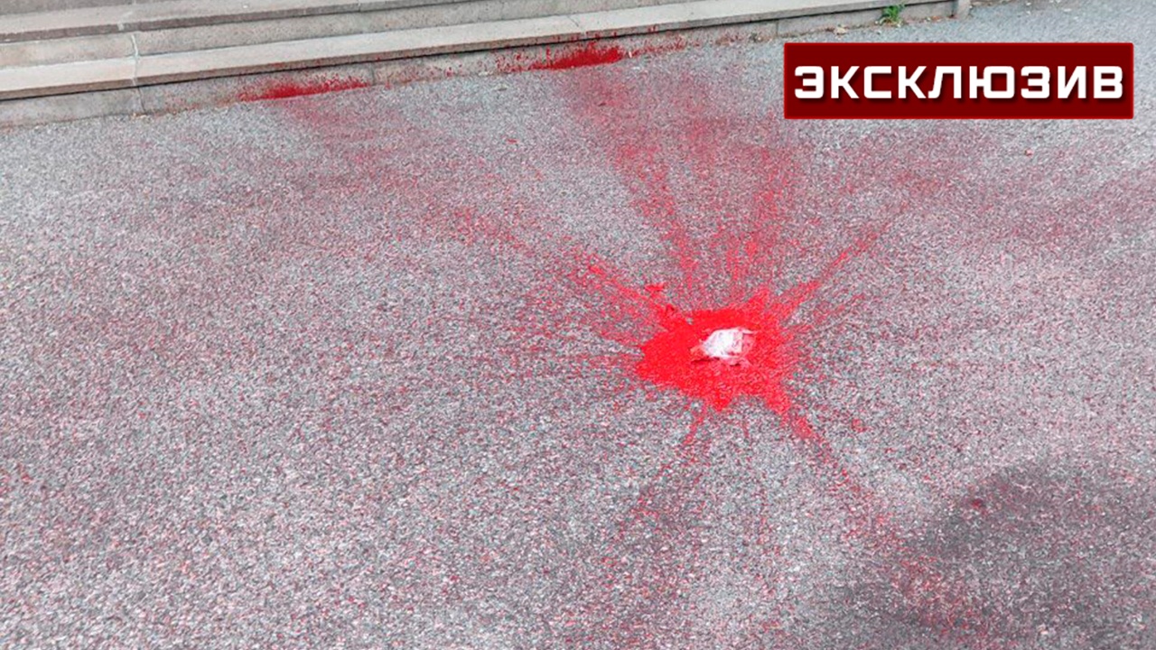 Дипломаты показали двор торгпредства РФ в Швеции после сброса краски