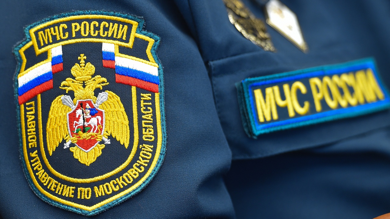На Сахалине пропали четыре туриста, ушедшие за дикоросами в лес