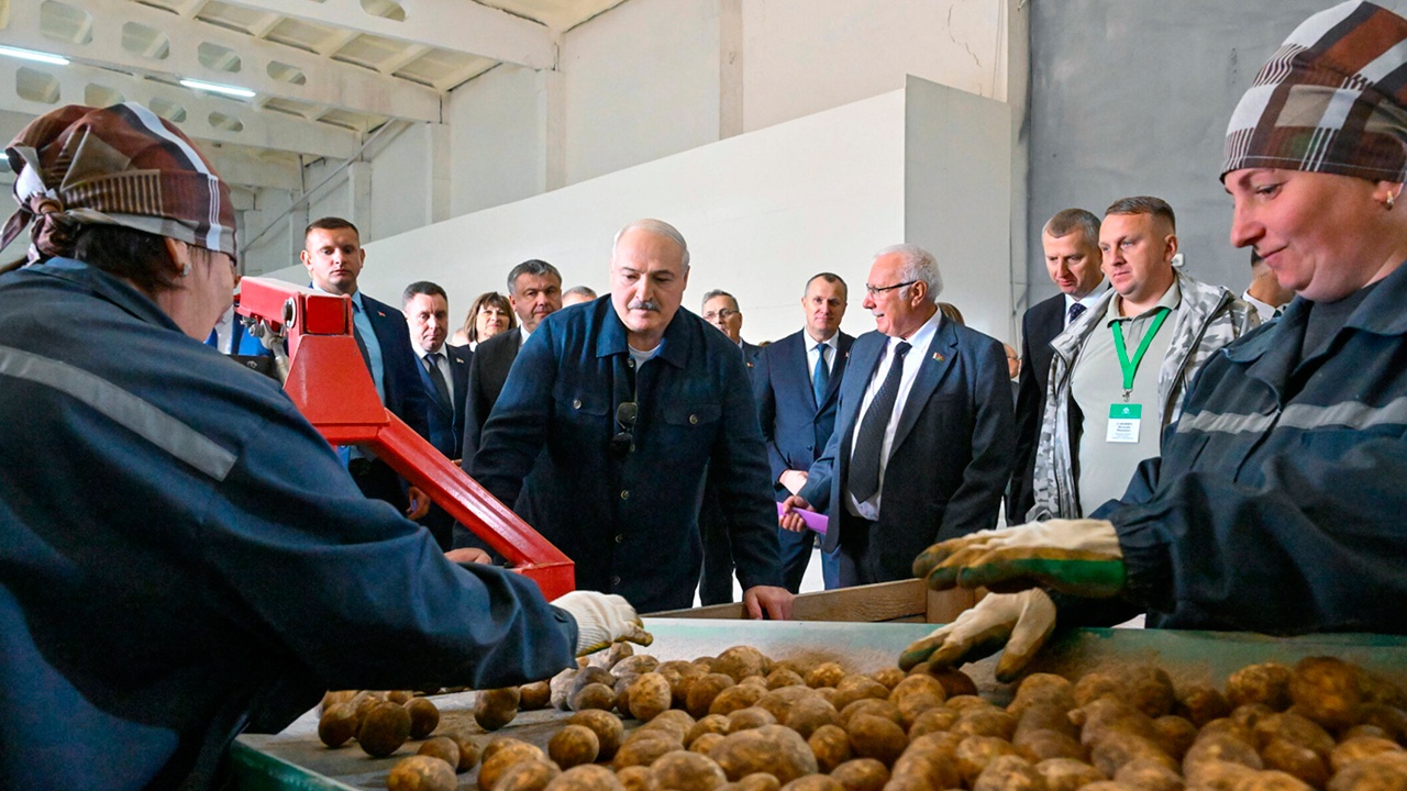Лукашенко обещал подарить Путину и Си по мешку картошки на саммите ШОС Лукашенко обещал подарить Путину и Си по мешку картошки на саммите ШОС