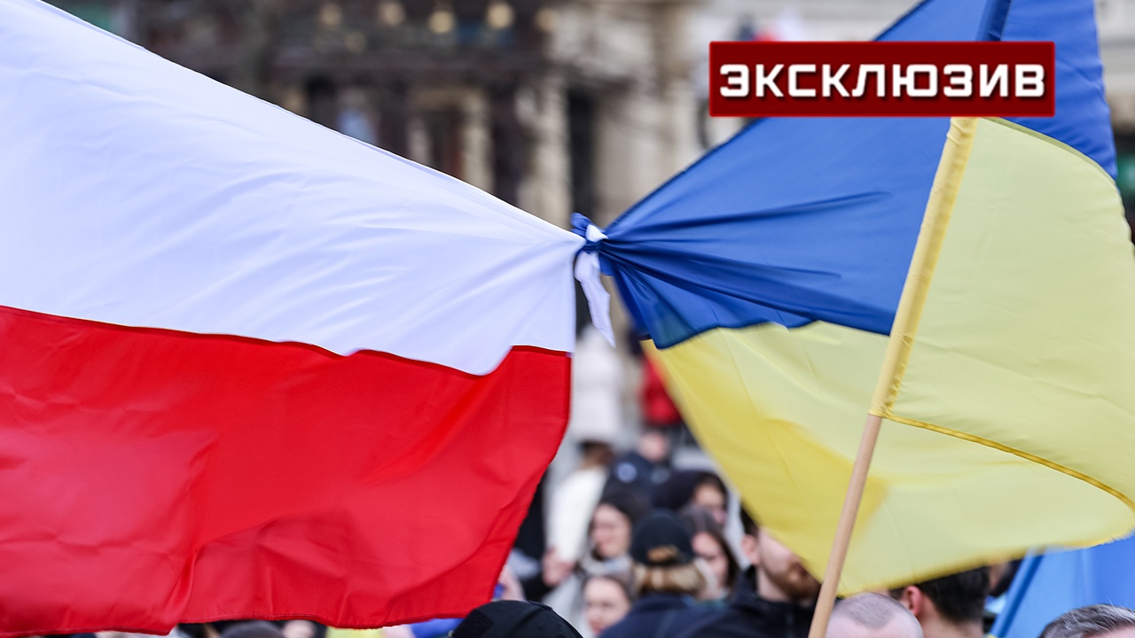 Политолог объяснил, почему Польша избавляется от беженцев с Украины Политолог объяснил, почему Польша избавляется от беженцев с Украины