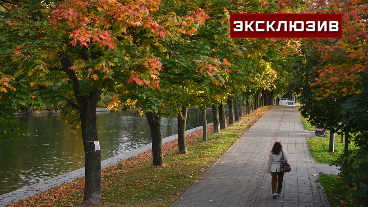Метеоролог рассказал москвичам, когда включат отопление