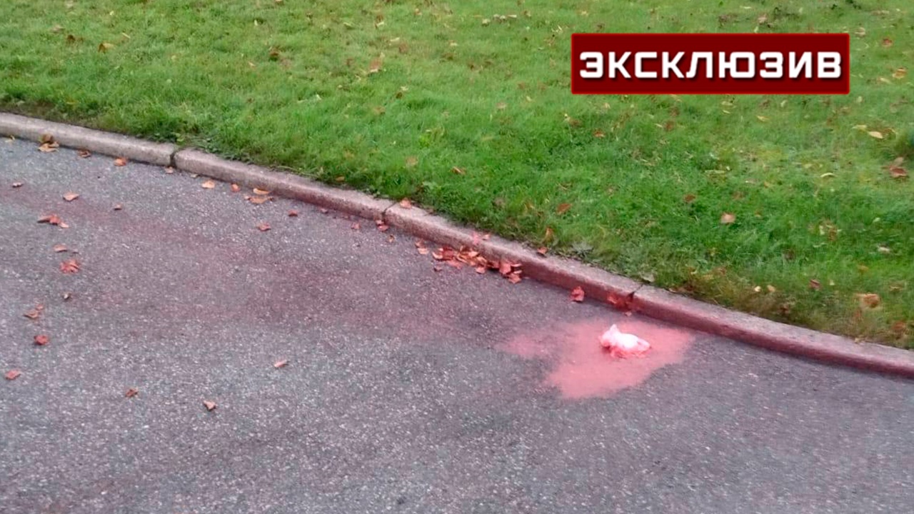 Дипломаты показали двор посольства в Швеции после нападения с дроном Дипломаты показали двор посольства в Швеции после нападения с дроном