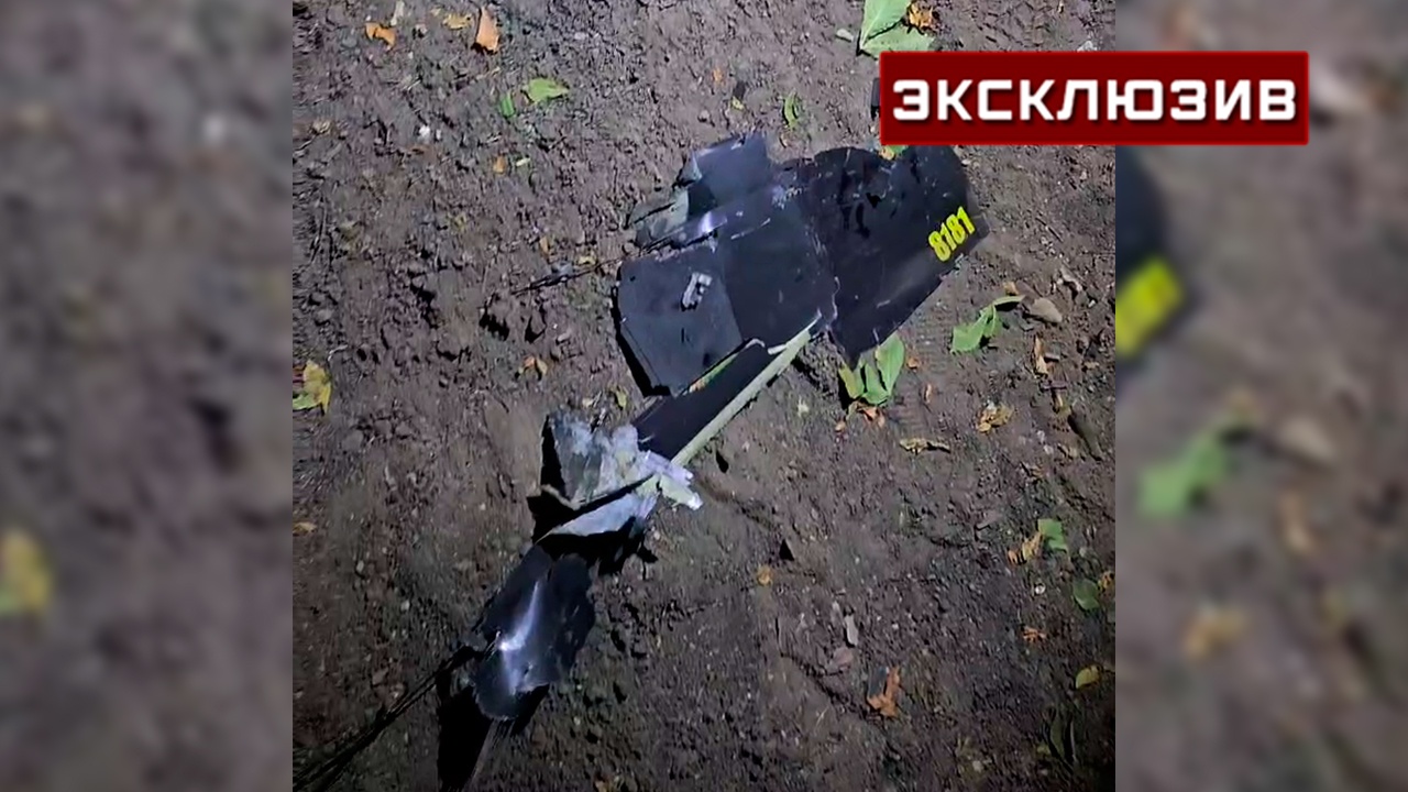 На месте удара по парку в Донецке обнаружили части дрона ВСУ
