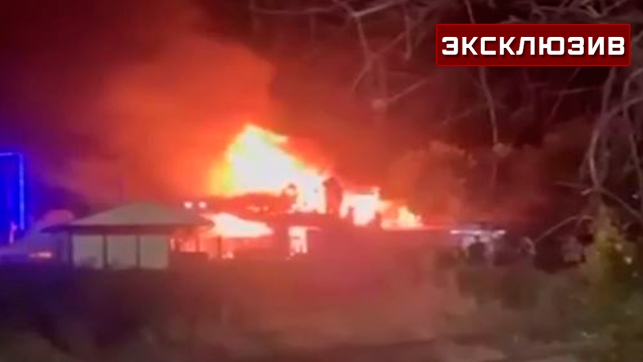 При пожаре в зоопарке Ейска погибли 28 крокодилов При пожаре в зоопарке Ейска погибли 28 крокодилов
