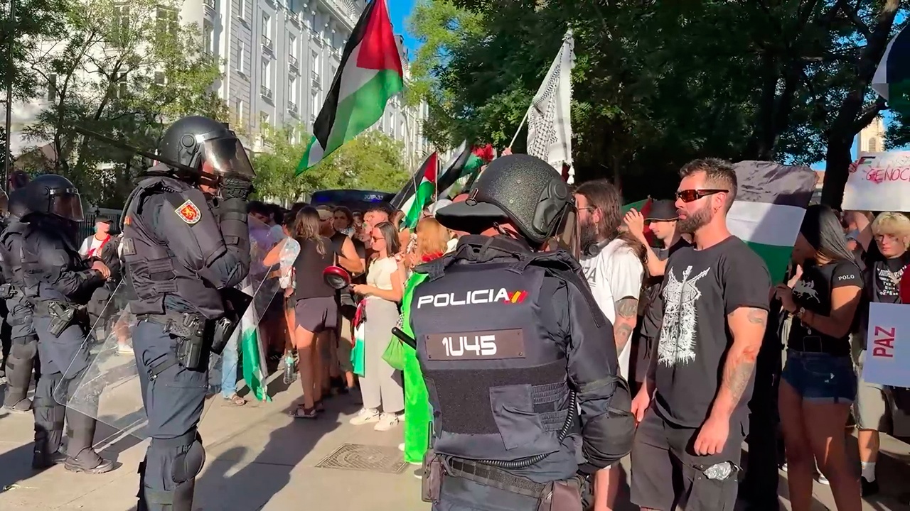 El Pais: в пропалестинских протестах в Мадриде приняли участие более 100 тысяч человек