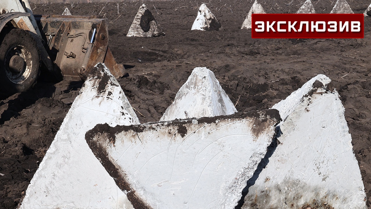 Сенатор Климов посоветовал эстонцам рыть ров детскими совочками
