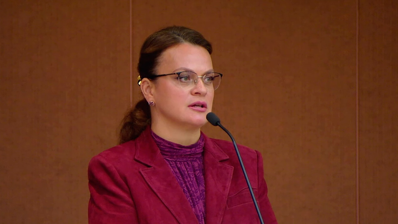 Цивилева объяснила, что изменит закон о статусе ветерана боевых действий для добровольцев