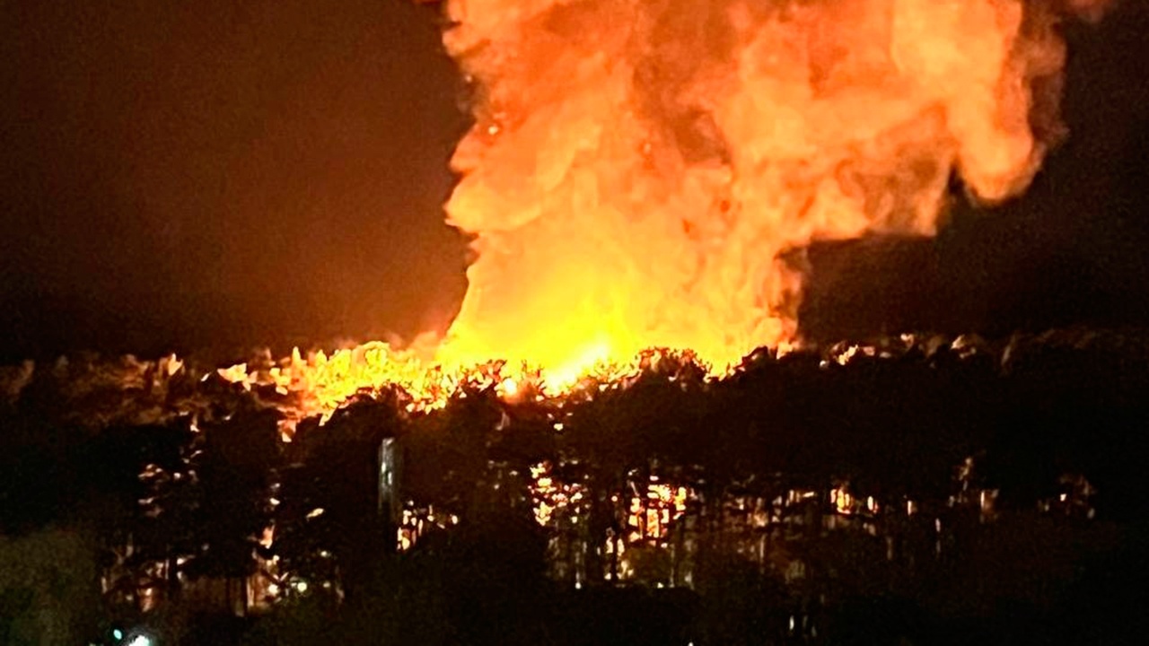 Пожар произошел в зоопарке Новосибирска