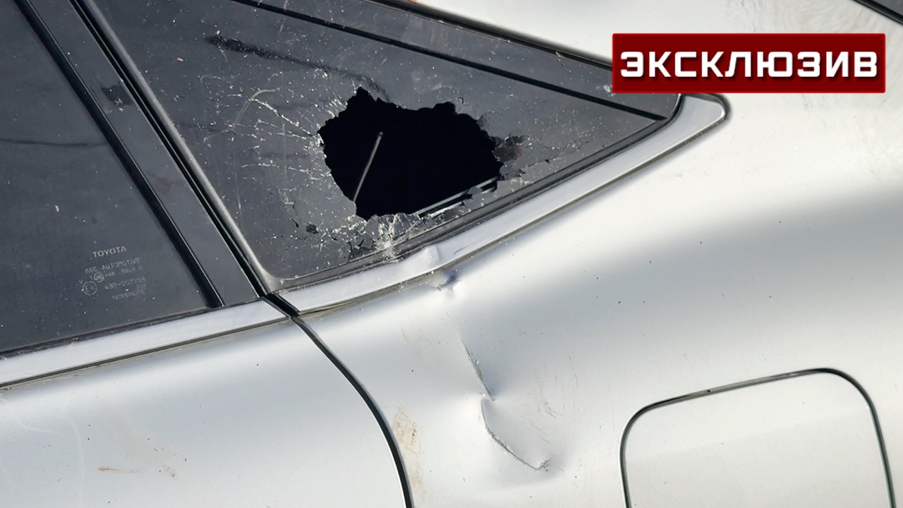 «Думал, что собака»: житель Камчатки рассказал, как спасся от медведя