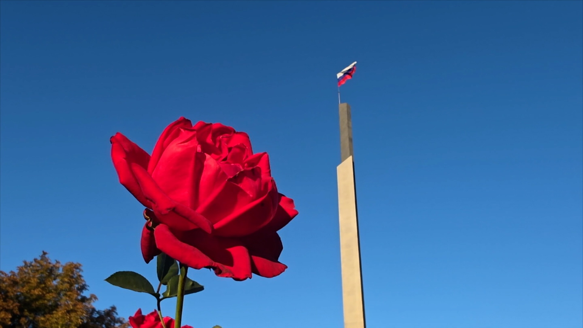 Три года дома: как сегодня живут Донбасс и Новороссия