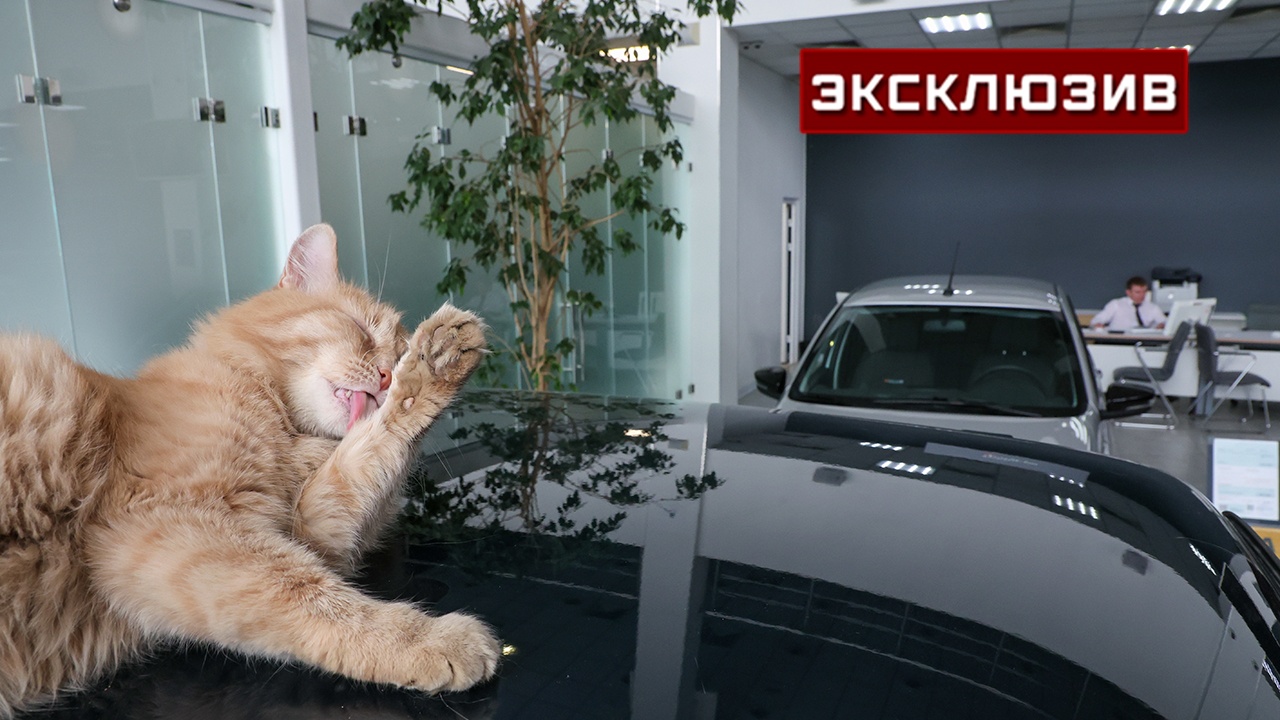 Автоэксперт рассказал, как изменения подсчета утильсбора скажутся на ценах