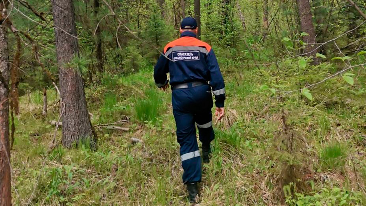 Спасатели ищут пятилетнюю девочку и ее родителей в лесу под Красноярском