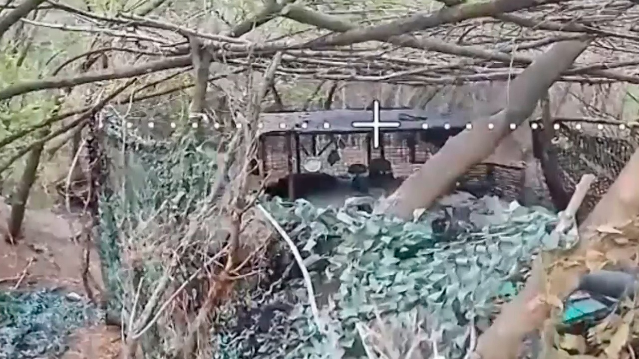 FPV-дрон сжег замаскированный танк всушников в Запорожской области
