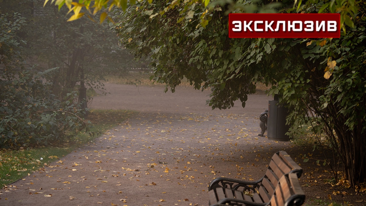 Москвичам посоветовали утеплиться, с понедельника ожидается похолодание
