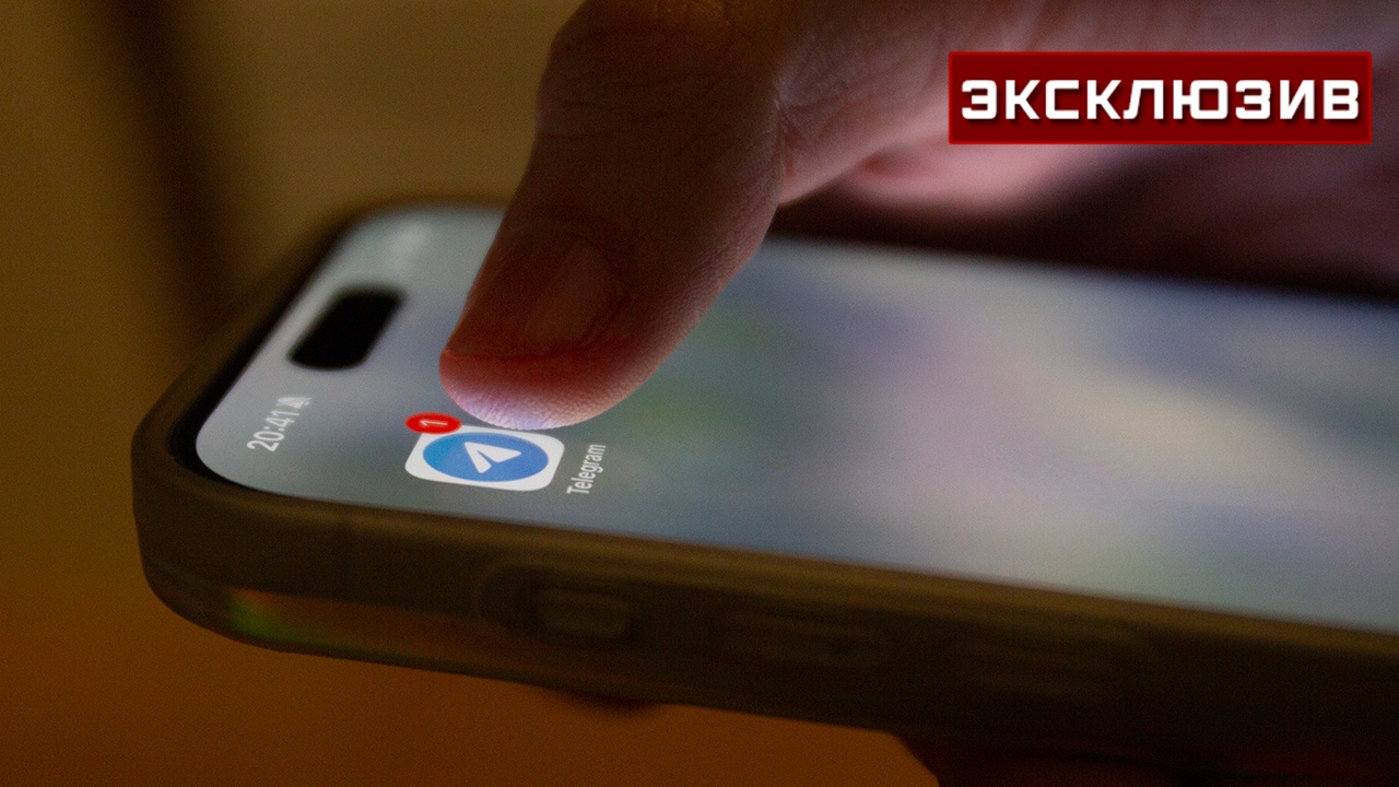 Эксперт предупредила о схеме аферистов с Telegram-ботами