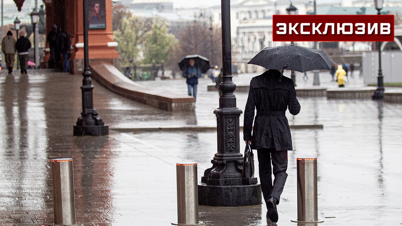 Метеобюро: на Москву за сутки обрушится до трети месячной нормы осадков