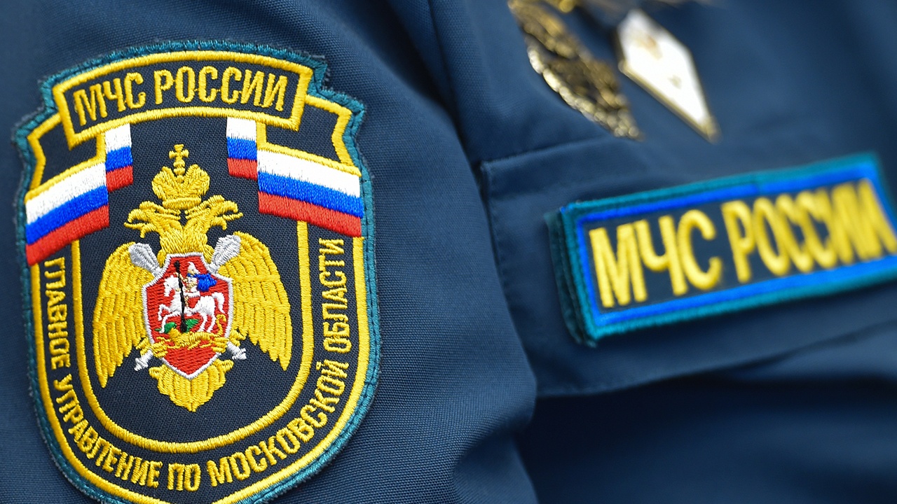 МЧС предложило поднять штрафы за возгорание в лесу до 4 млн рублей МЧС предложило поднять штрафы за возгорание в лесу до 4 млн рублей