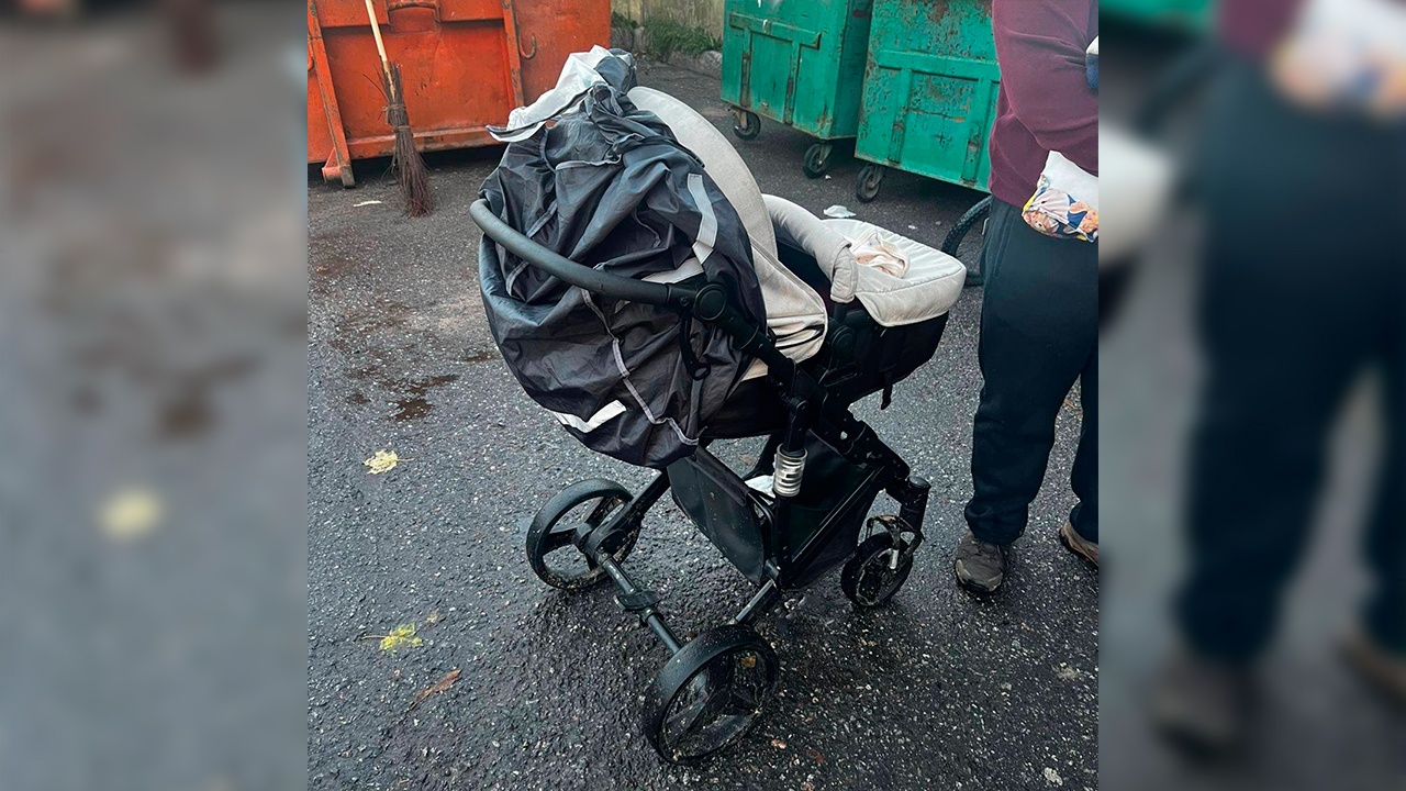 В Петербурге задержали мать, оставившую младенца у мусорных баков В Петербурге задержали мать, оставившую младенца у мусорных баков