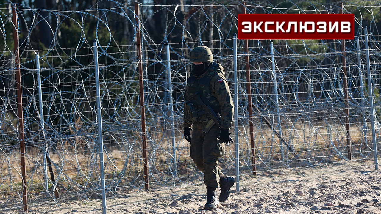 Политолог оценил обнаружение «тоннеля» на границе Польши с Белоруссией Политолог оценил обнаружение «тоннеля» на границе Польши с Белоруссией