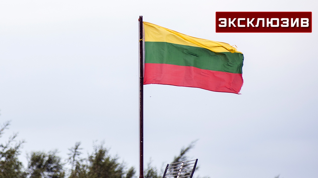 Профессор МГУ назвал провокацией слова Науседы о транзите в Калининград Профессор МГУ назвал провокацией слова Науседы о транзите в Калининград