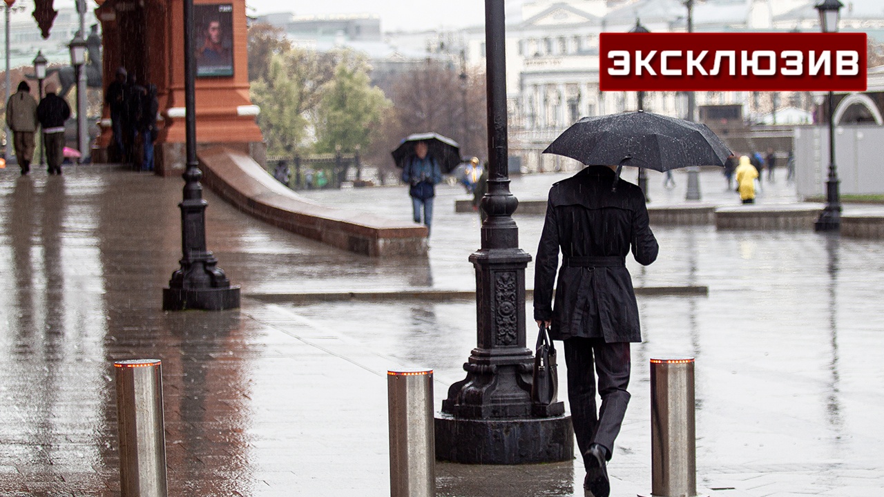 Тепло и хмуро: москвичам рассказали о погоде на следующей неделе Тепло и хмуро: москвичам рассказали о погоде на следующей неделе