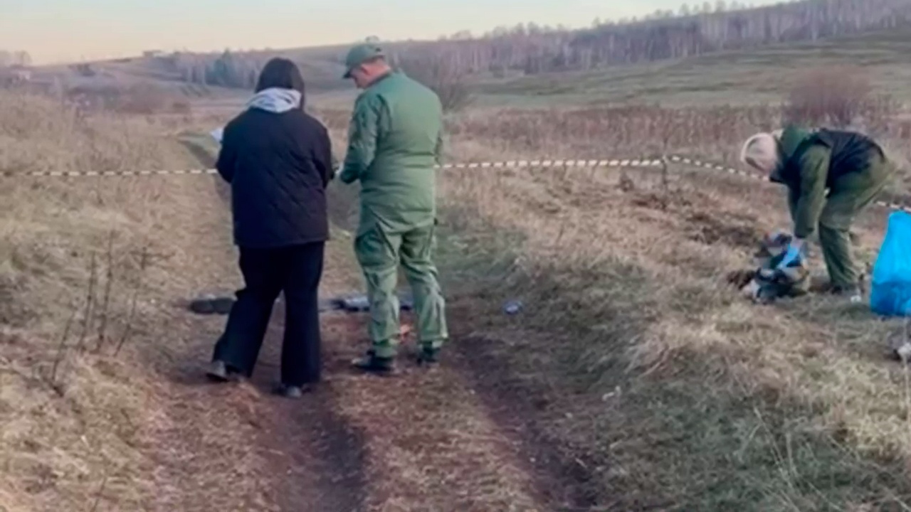 В Красноярском крае собаки загрызли ребенка, шедшего пасти скот В Красноярском крае собаки загрызли ребенка, шедшего пасти скот