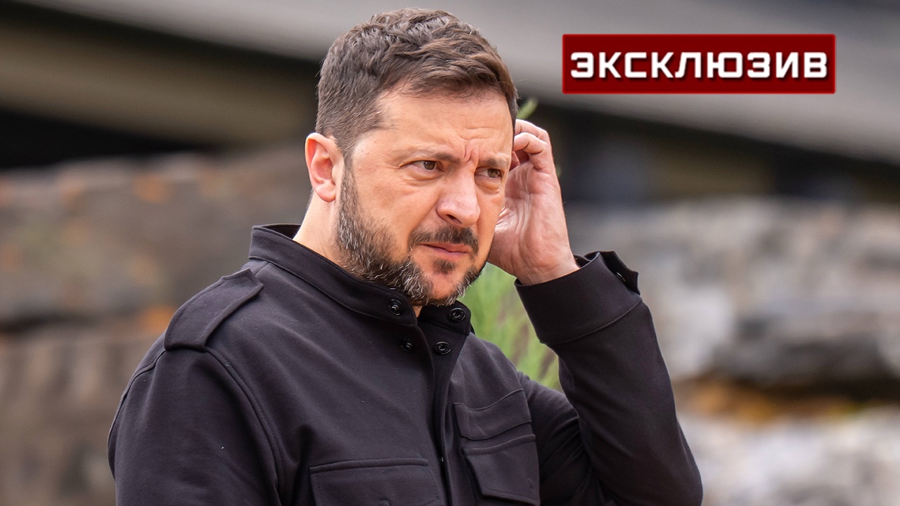 Царев рассказал о «котлетных вечеринках» Зеленского и главы Fire Point