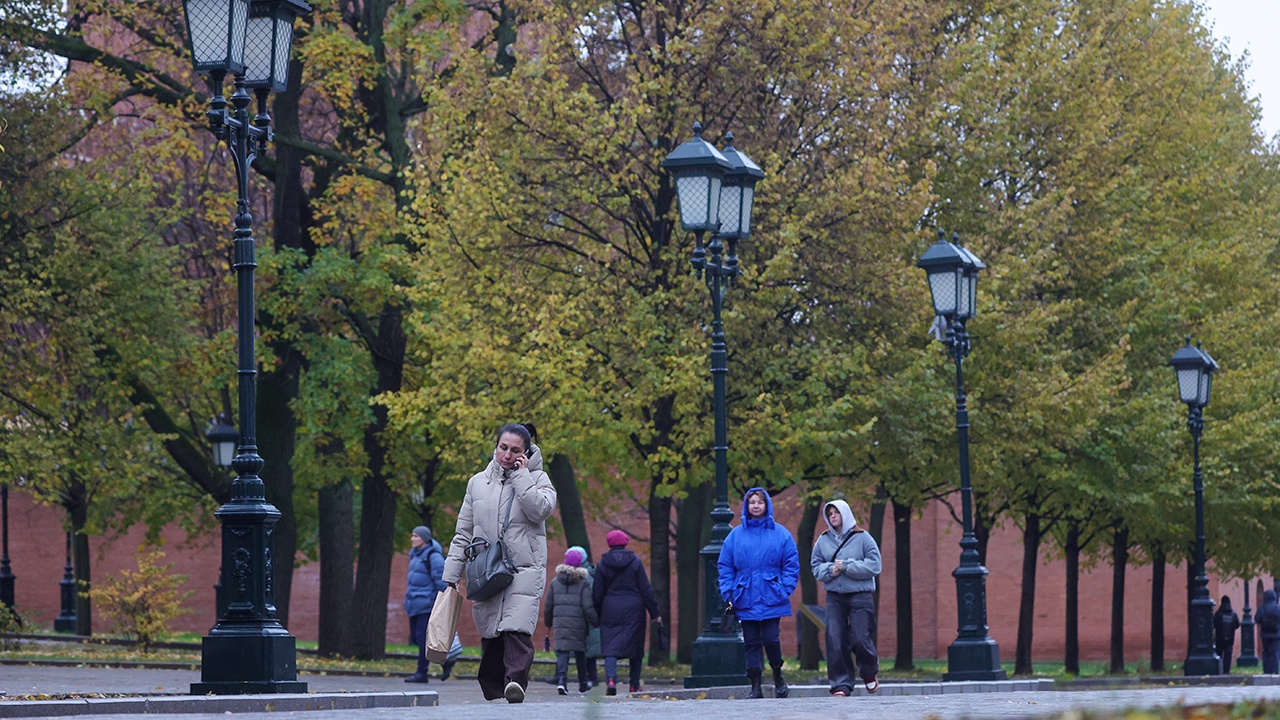 Нововведения в России с 1 ноября коснутся пенсий, сим-карт и долгов