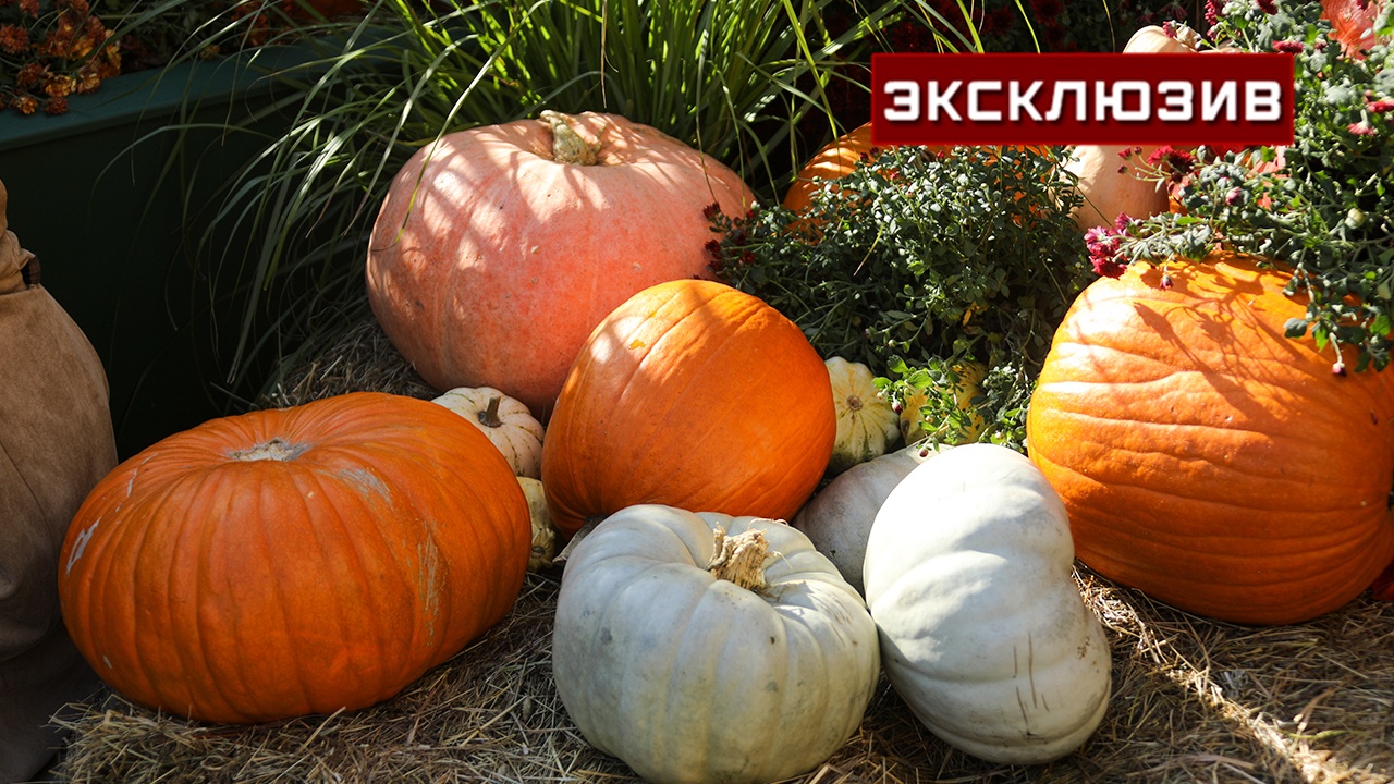 Диетолог назвала продукты, которые повышают иммунитет в сезон ОРВИ Диетолог назвала продукты, которые повышают иммунитет в сезон ОРВИ