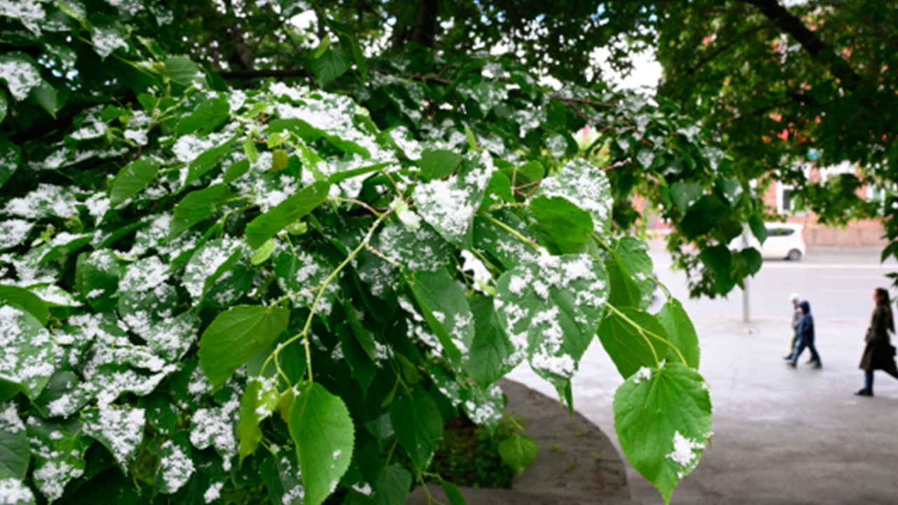 В трех округах России ожидаются трескучие морозы в первой декаде ноября В трех округах России ожидаются трескучие морозы в первой декаде ноября