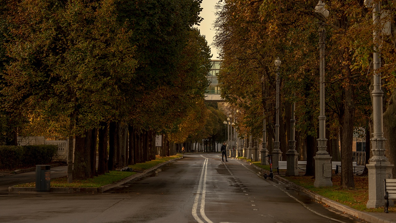 Москвичам рассказали о теплой погоде с дождями до конца недели