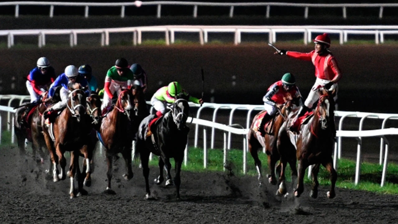 Россиян допустили к международным соревнованиям по конному спорту