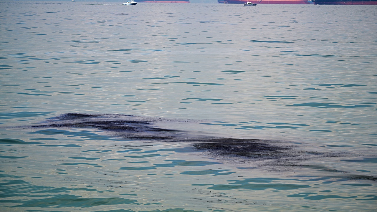 В Норвегии с севшего на мель судна вытекло  четыре тысячи литров топлива