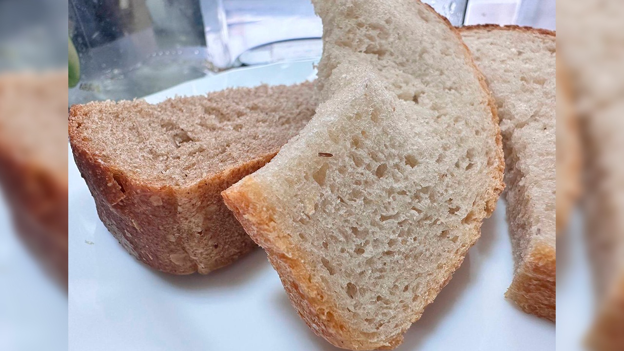 На Камчатке в школьной столовой обнаружили хлеб с личинками