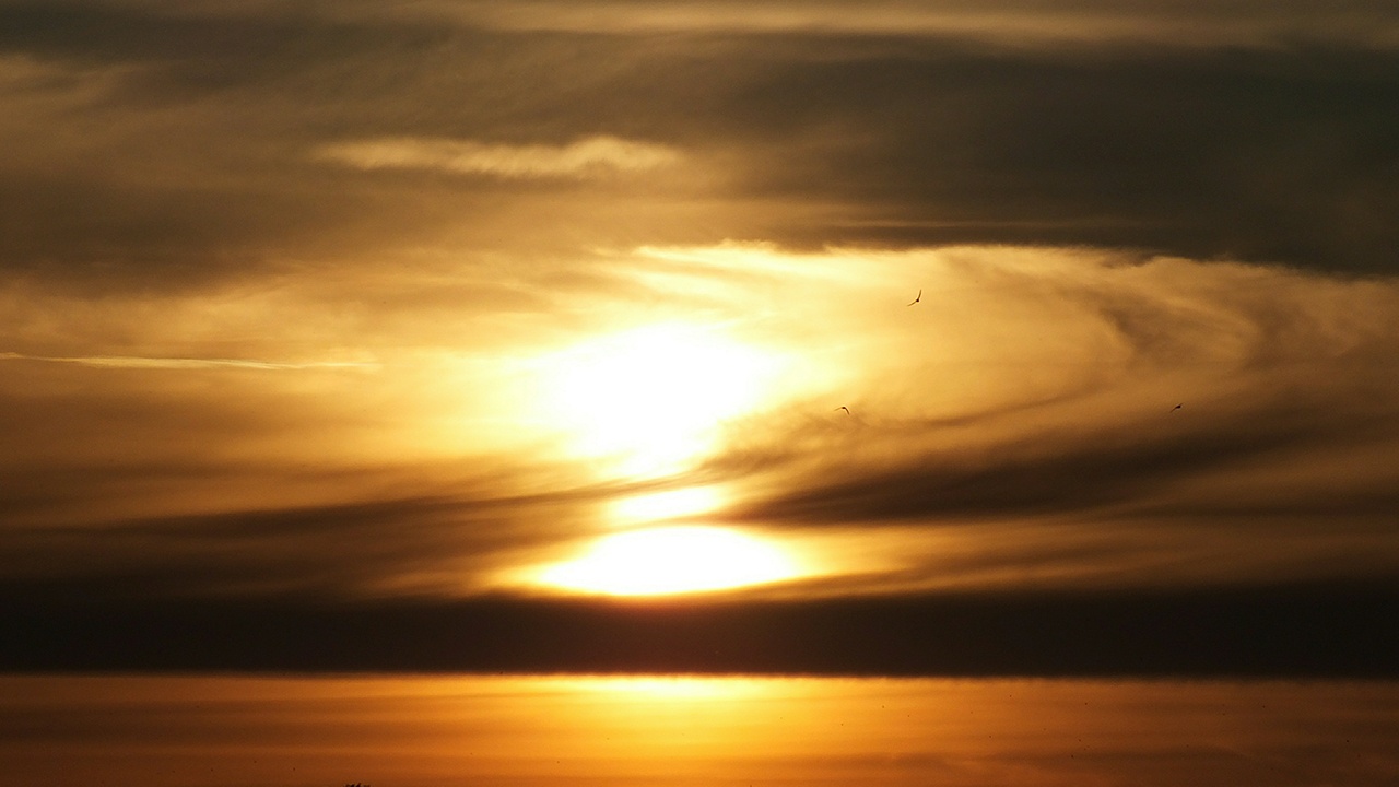 ИКИ РАН: сильнейшая магнитная буря началась на Земле